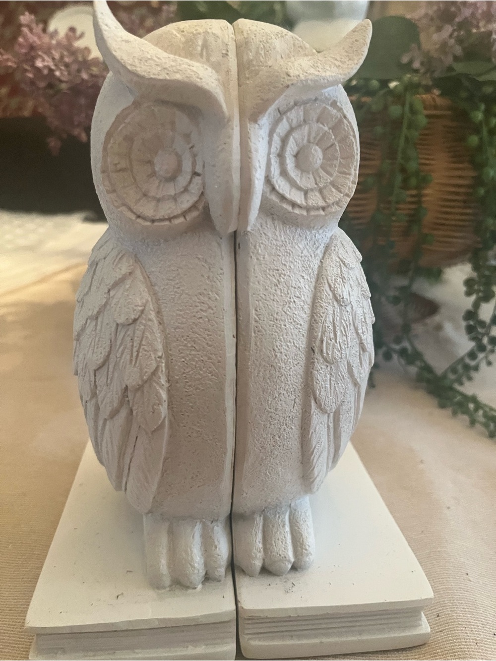 Neutral White Owl Bookends — Decorative Home Accent